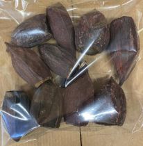 Cacao Fruit ( x 10 )