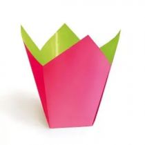 Cache Pot Stempo 10,5x10,5 H12 Fushia / Vert Anis ( x 25 )