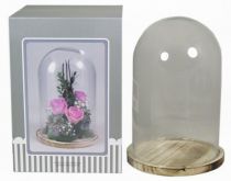 Cloche Verre D23 H38 sur Plateau Bois