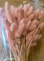 Lagurus 65cm Vieux Rose ( 100g )